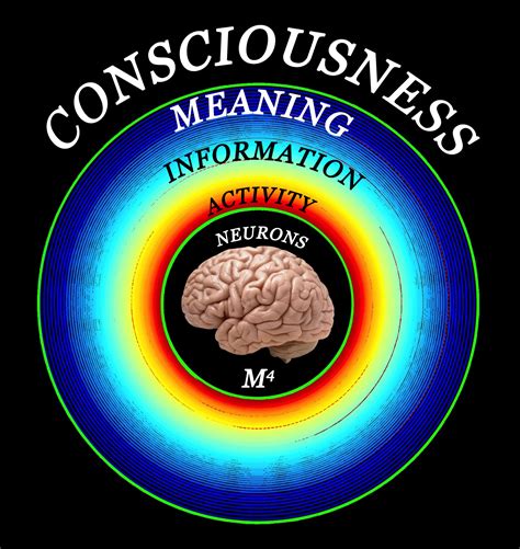 download Brain, Mind and Consciousness